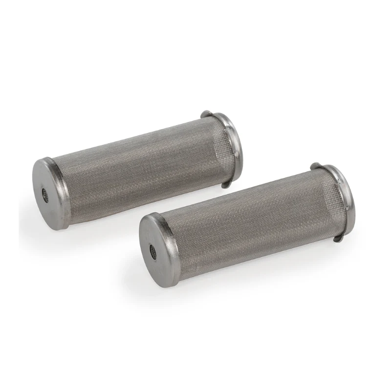 GRACO 100 Mesh Short Enamel Filter Kit 2-Pack