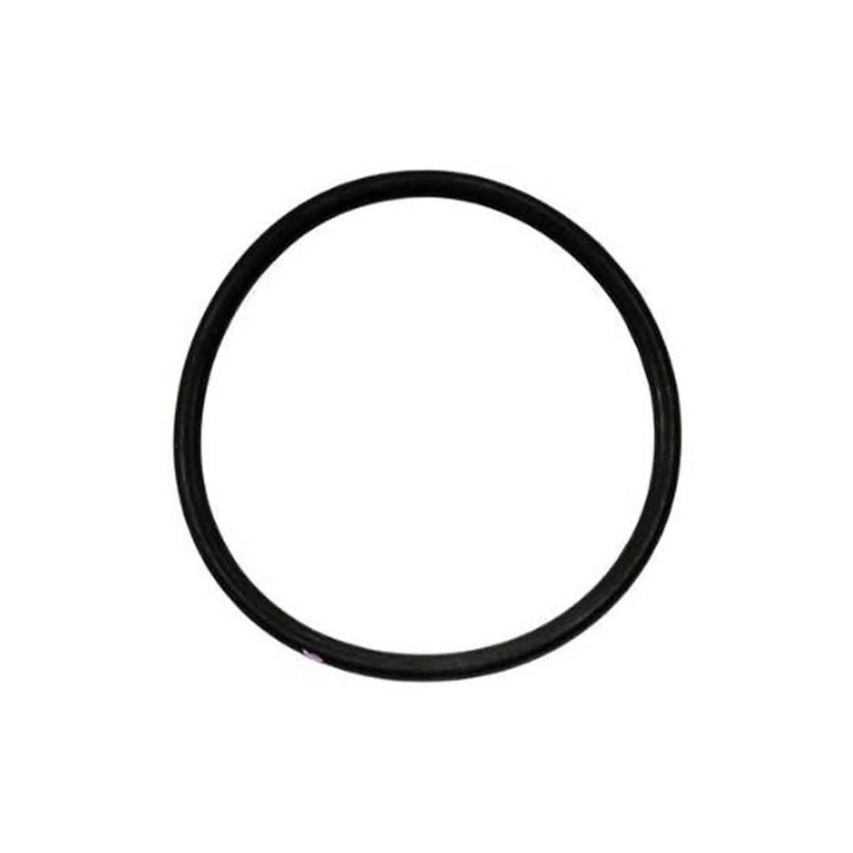 GRACO Cylinder O-Ring Packing for ProConnect Endurance Displacement Pump (Singles)