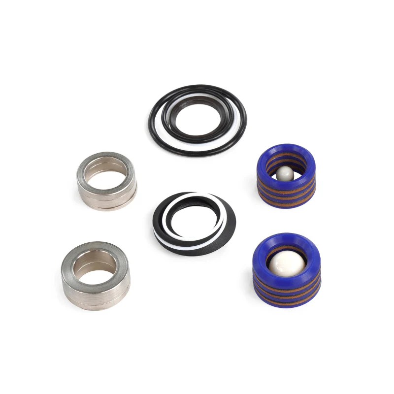 GRACO Pump Repair Kit with Ceramic Check Balls
