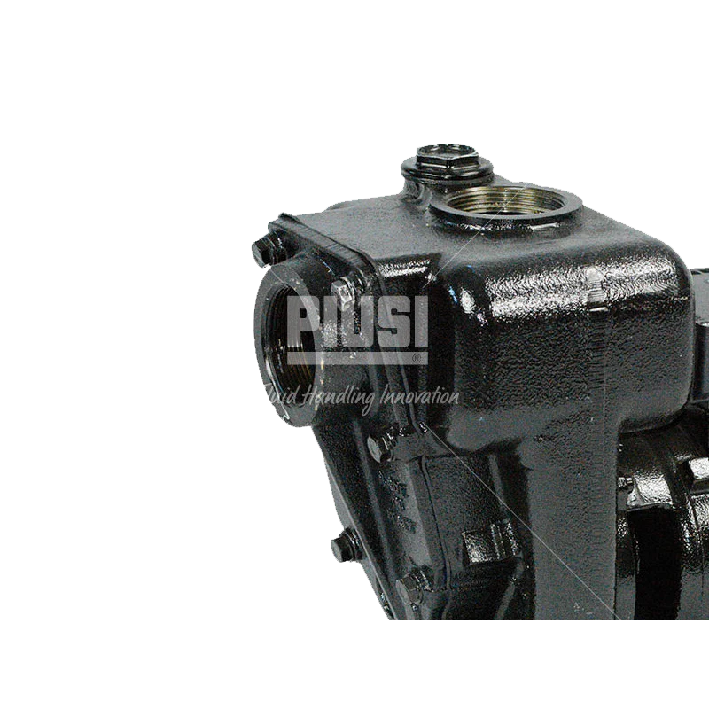 PIUSI E300 Diesel Pump 240V AC 550lpm - Image 2